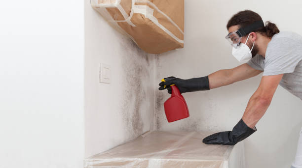 Professional Mold Removal technician working in Fulton, IL