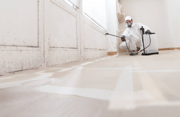24/7 Emergency Mold Removal experts in Fulton, IL